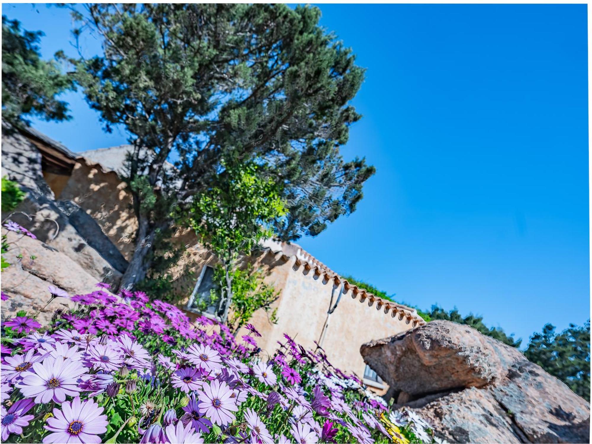 Sardinia Family Villas - Villa Nina With Private Pool Abbiadori Экстерьер фото